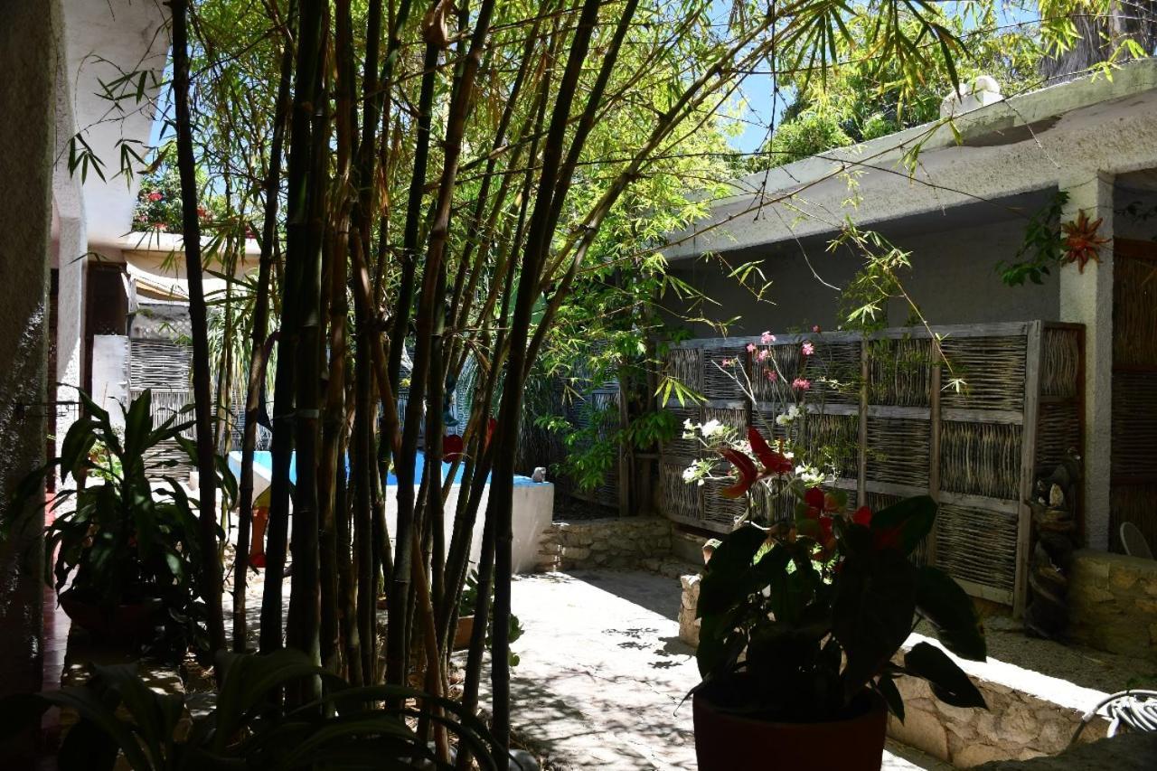 La Playita Hostal San José del Cabo Exterior photo